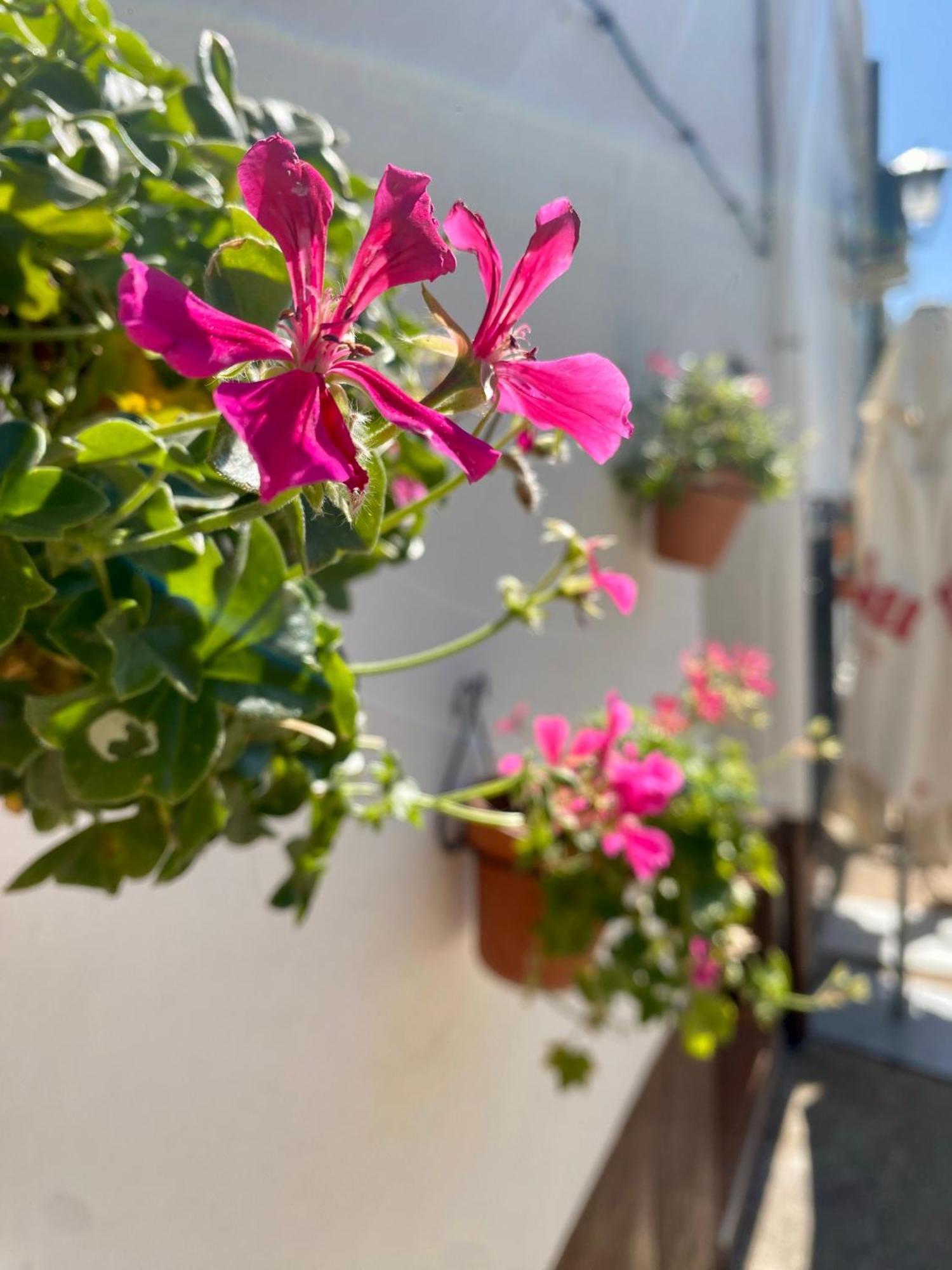 Alojamiento Rural Mar De Olivos Castril Εξωτερικό φωτογραφία