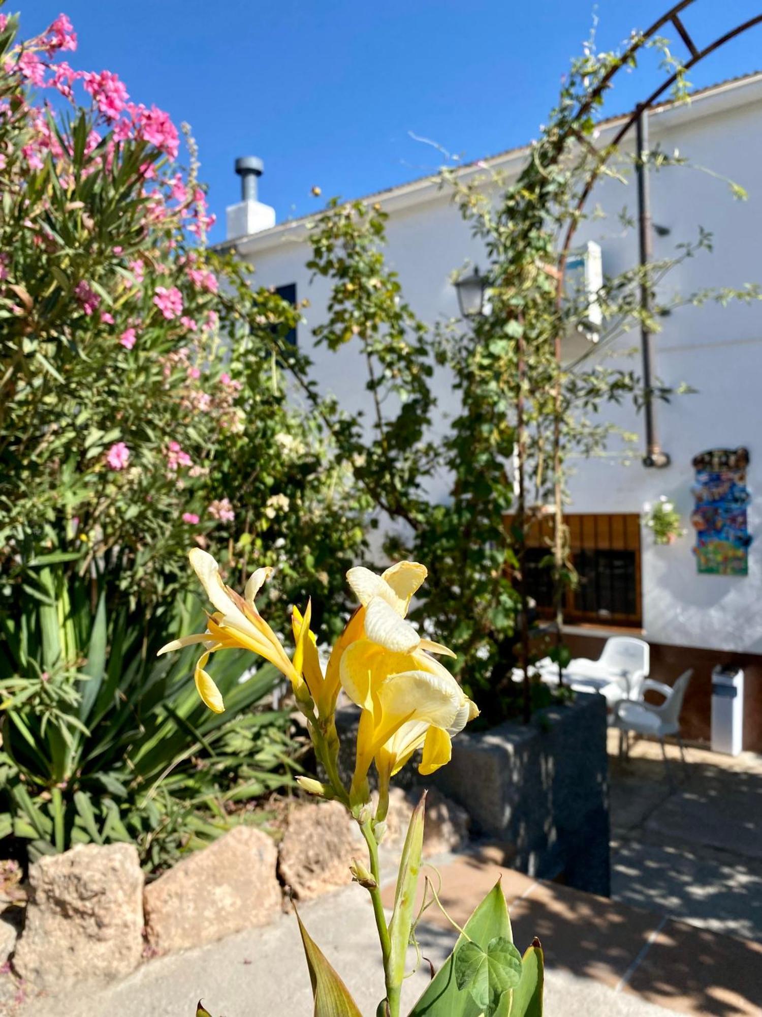 Alojamiento Rural Mar De Olivos Castril Εξωτερικό φωτογραφία
